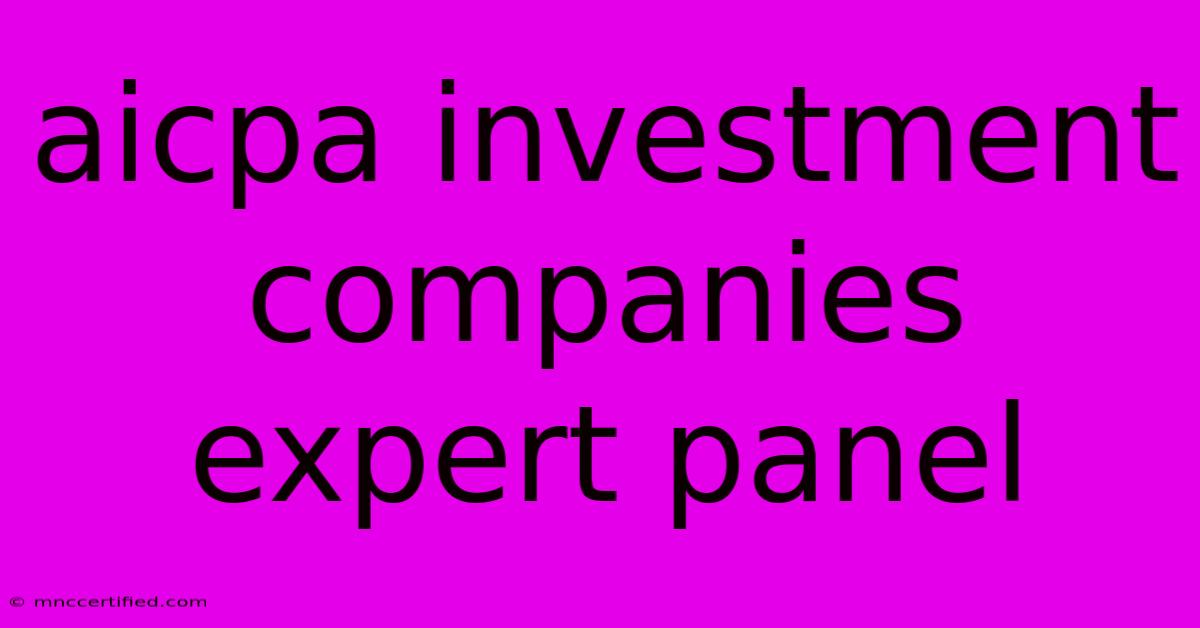 Aicpa Investment Companies Expert Panel