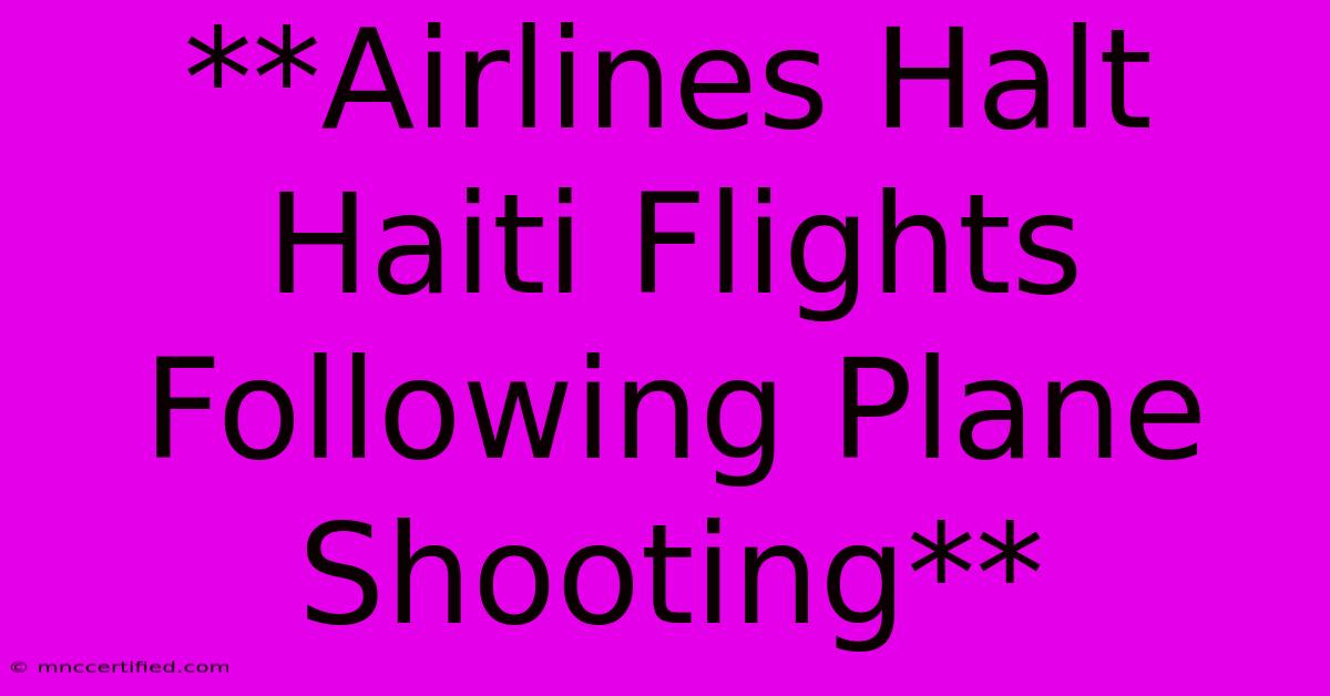 **Airlines Halt Haiti Flights Following Plane Shooting**