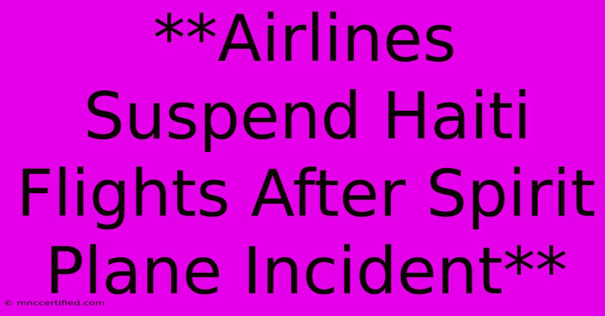 **Airlines Suspend Haiti Flights After Spirit Plane Incident**