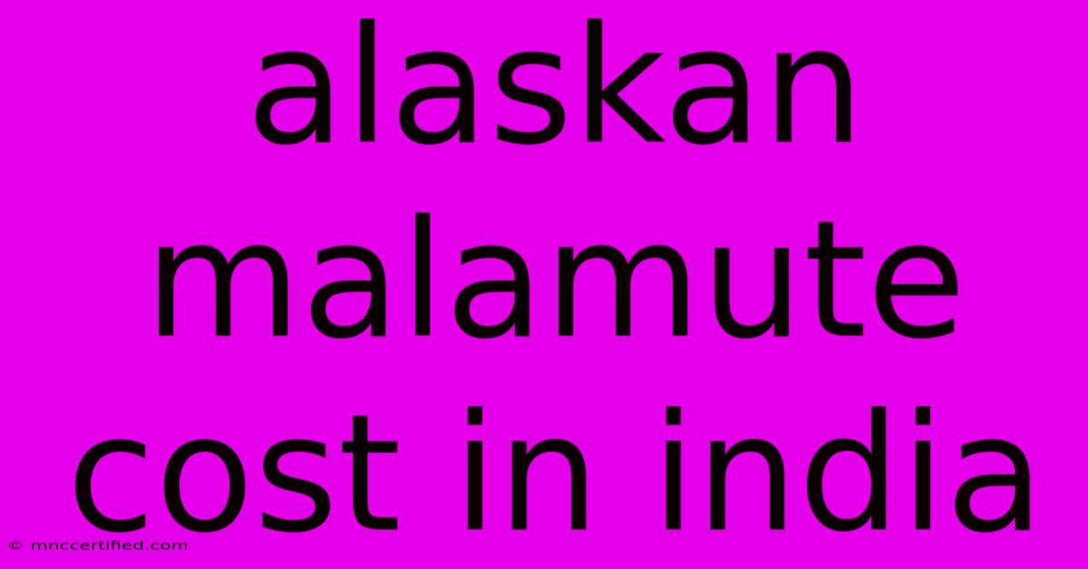 Alaskan Malamute Cost In India