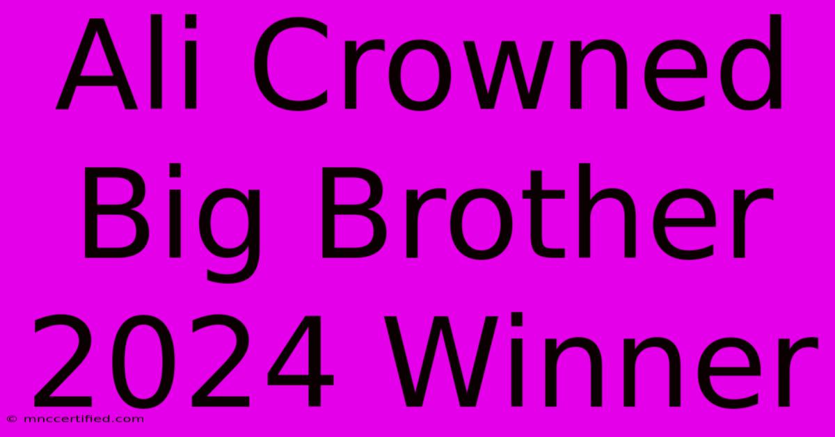 Ali Crowned Big Brother 2024 Winner