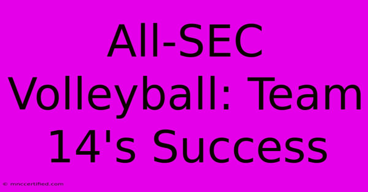 All-SEC Volleyball: Team 14's Success