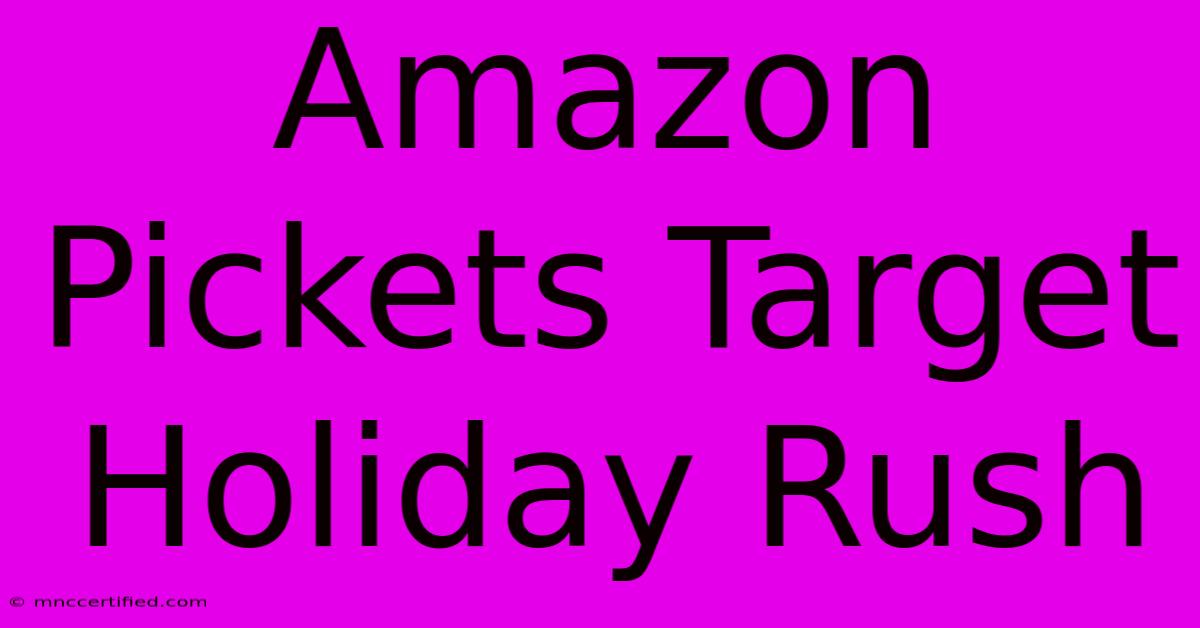 Amazon Pickets Target Holiday Rush