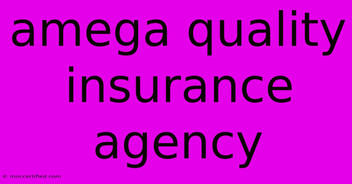 Amega Quality Insurance Agency