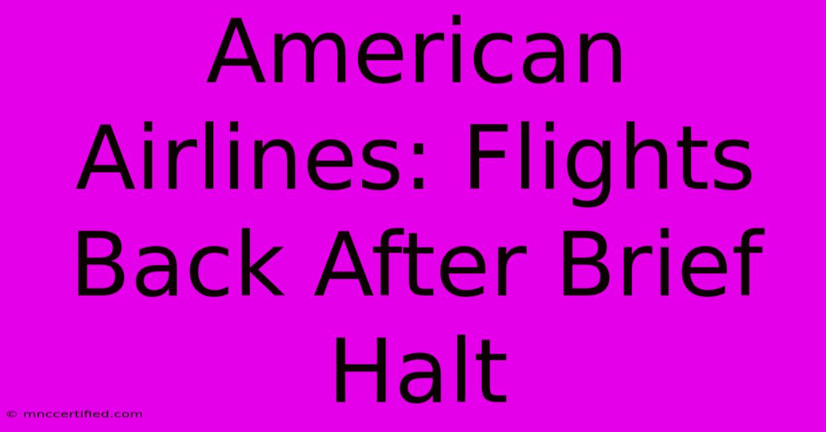 American Airlines: Flights Back After Brief Halt