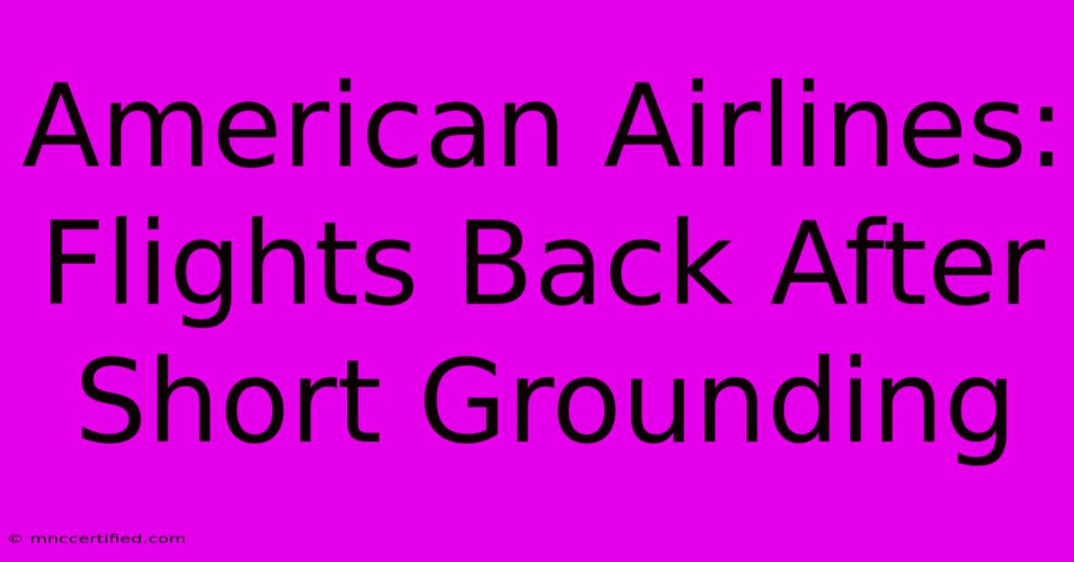 American Airlines: Flights Back After Short Grounding