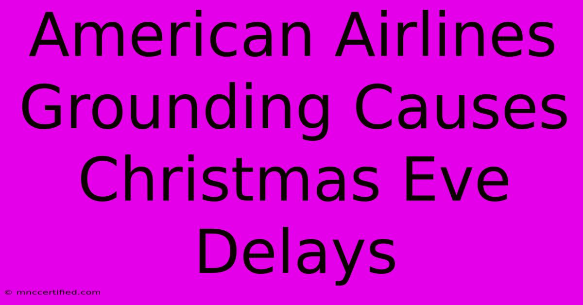 American Airlines Grounding Causes Christmas Eve Delays