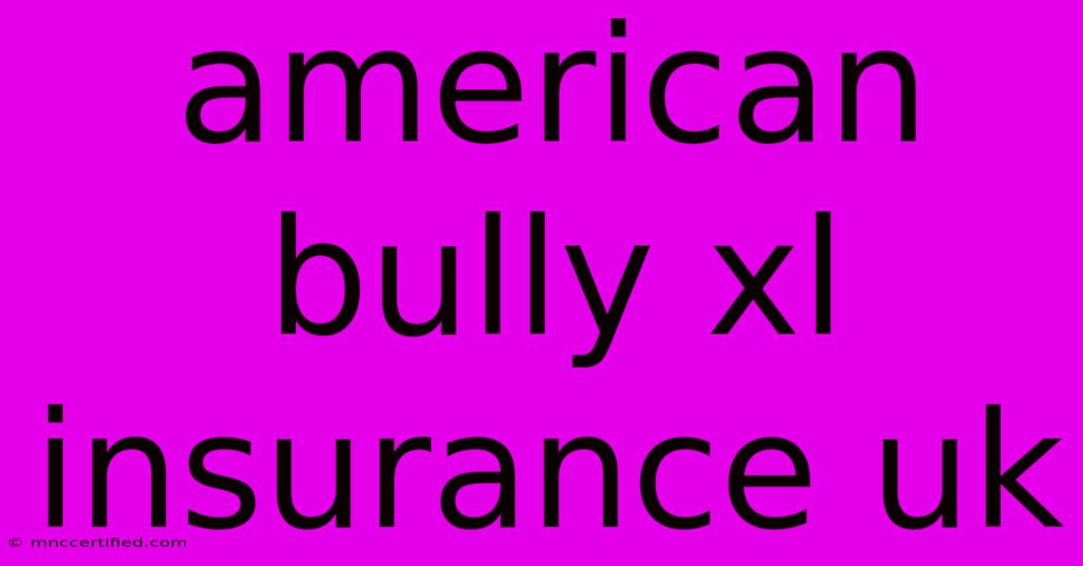 American Bully Xl Insurance Uk