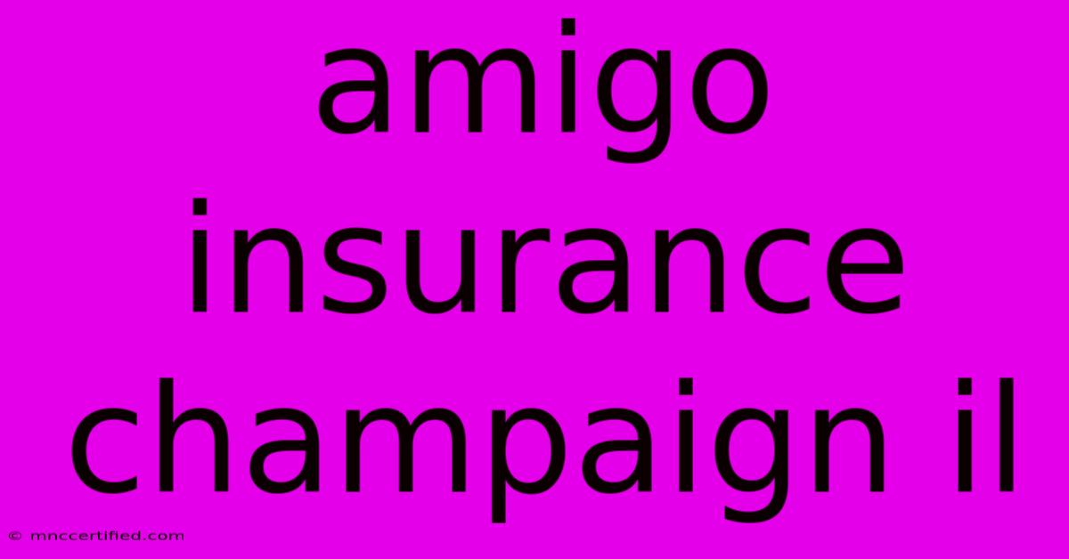 Amigo Insurance Champaign Il