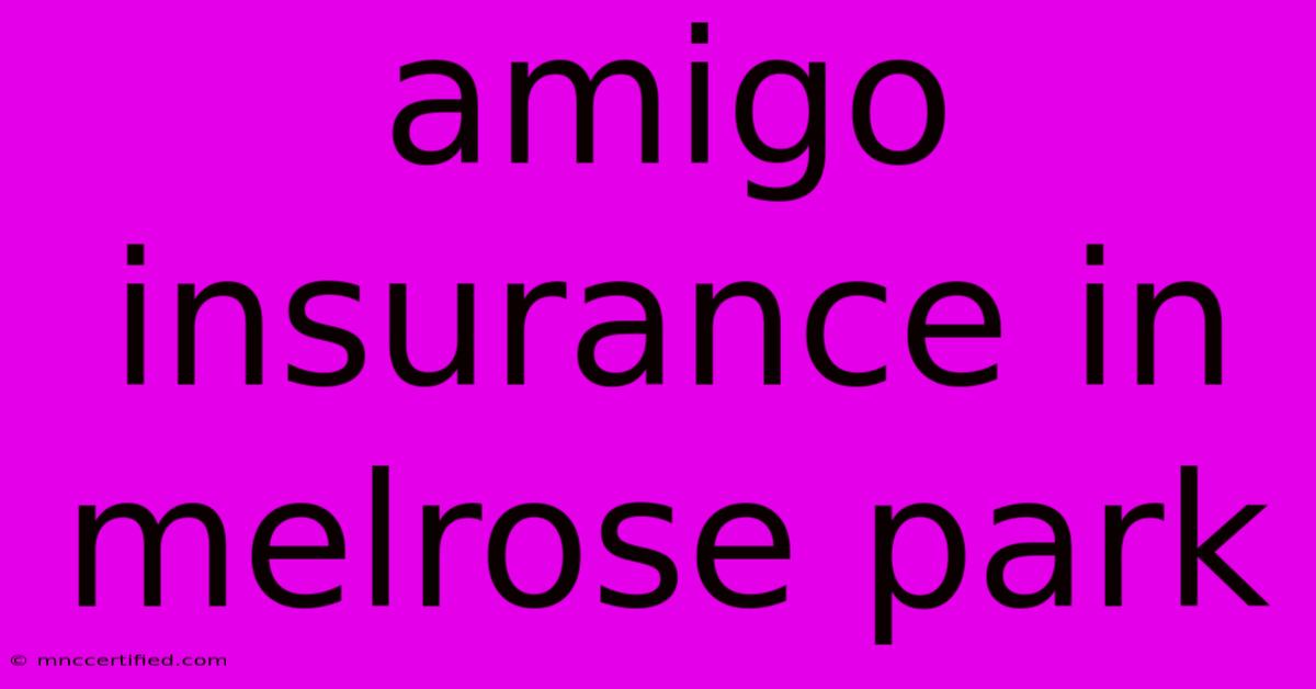 Amigo Insurance In Melrose Park