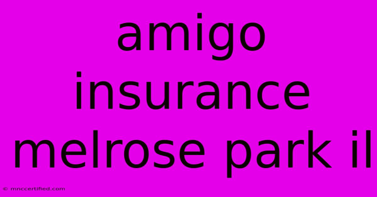 Amigo Insurance Melrose Park Il