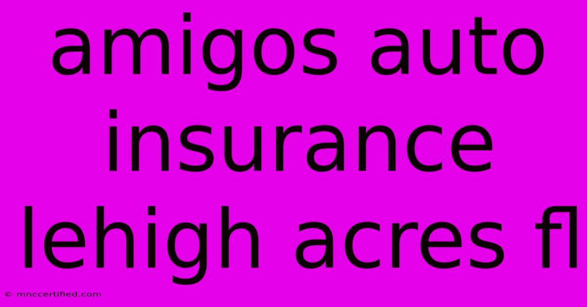 Amigos Auto Insurance Lehigh Acres Fl