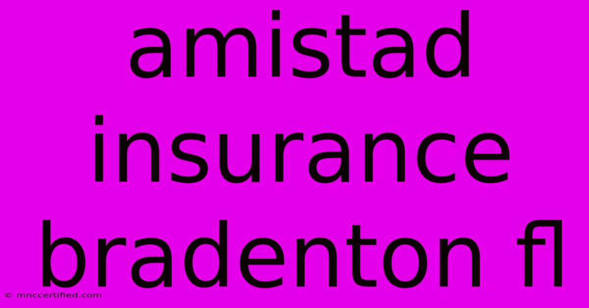 Amistad Insurance Bradenton Fl