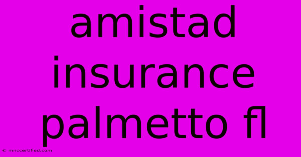 Amistad Insurance Palmetto Fl