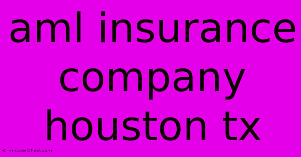 Aml Insurance Company Houston Tx