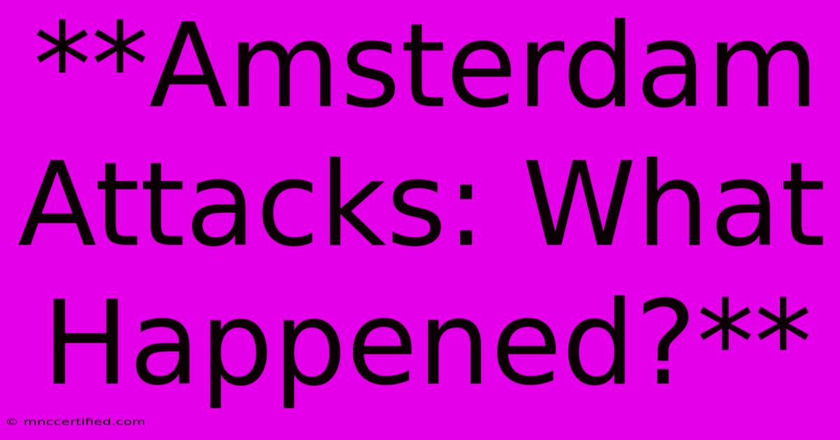 **Amsterdam Attacks: What Happened?**