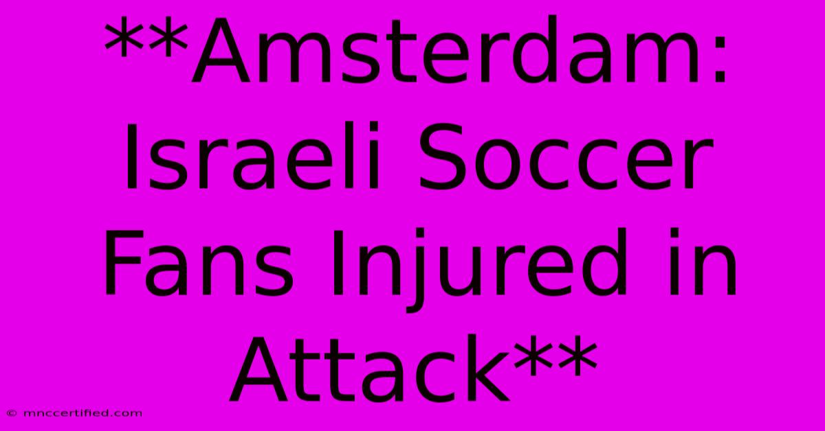 **Amsterdam: Israeli Soccer Fans Injured In Attack** 