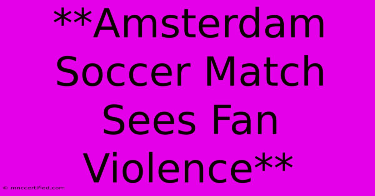 **Amsterdam Soccer Match Sees Fan Violence**