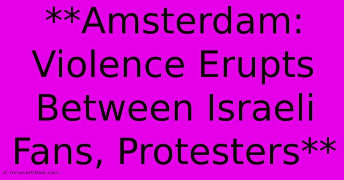 **Amsterdam: Violence Erupts Between Israeli Fans, Protesters** 