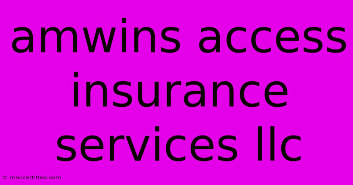 Amwins Access Insurance Services Llc