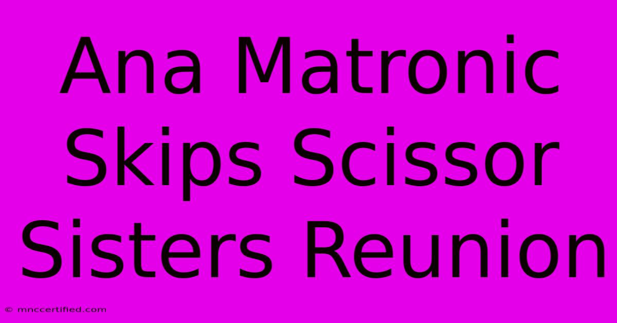 Ana Matronic Skips Scissor Sisters Reunion