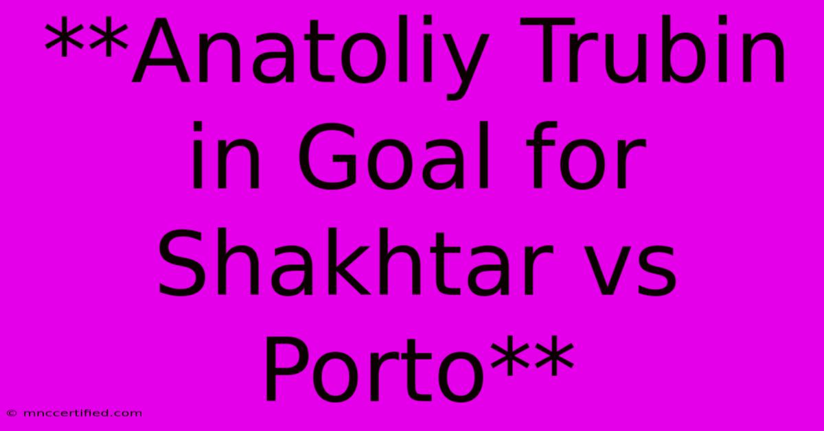 **Anatoliy Trubin In Goal For Shakhtar Vs Porto**