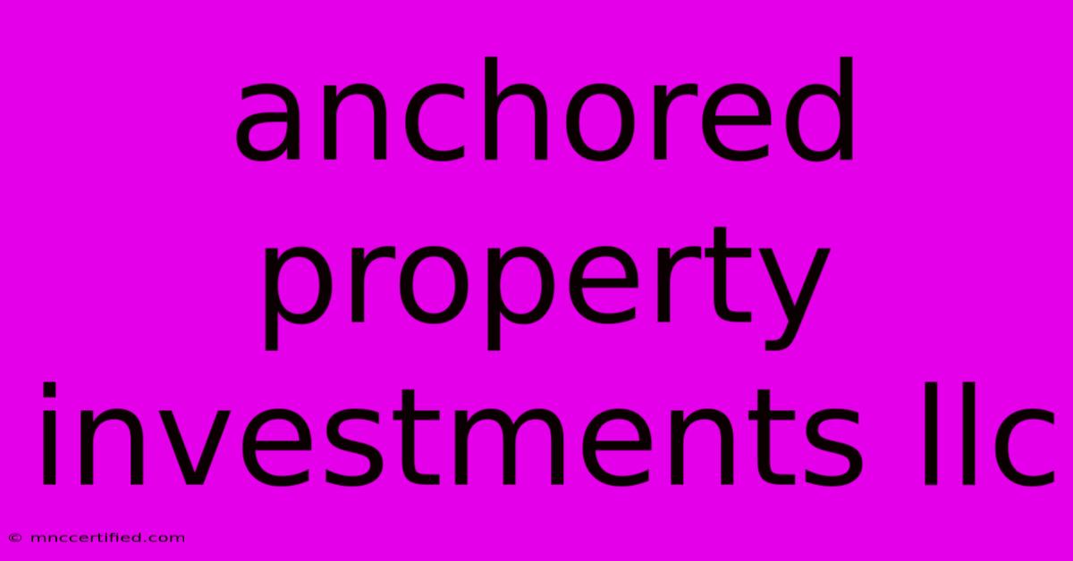 Anchored Property Investments Llc