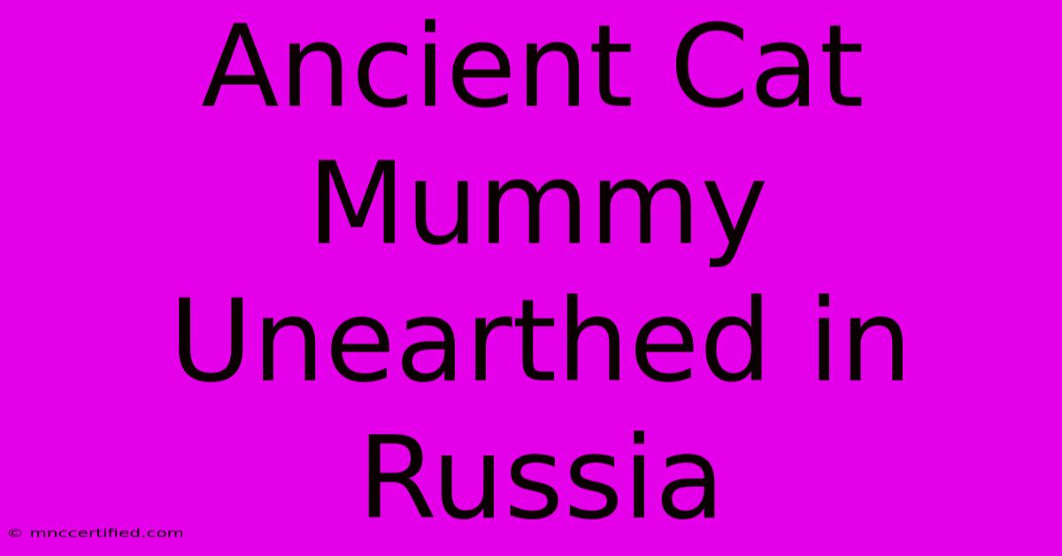 Ancient Cat Mummy Unearthed In Russia