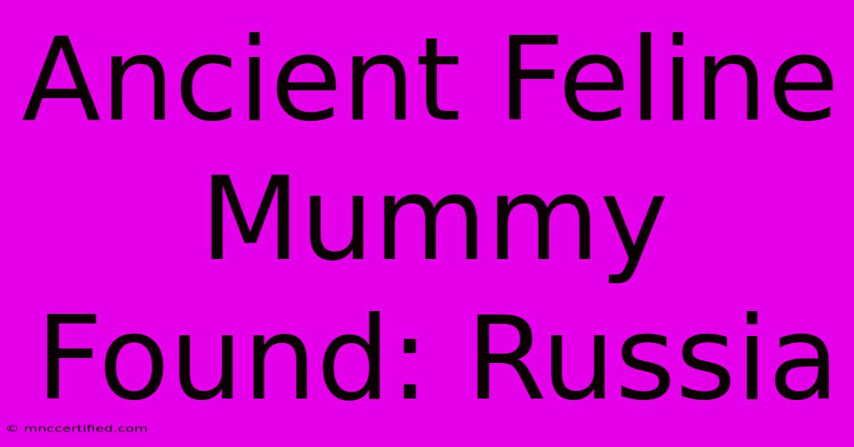 Ancient Feline Mummy Found: Russia