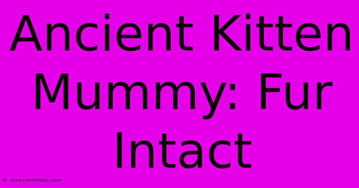 Ancient Kitten Mummy: Fur Intact