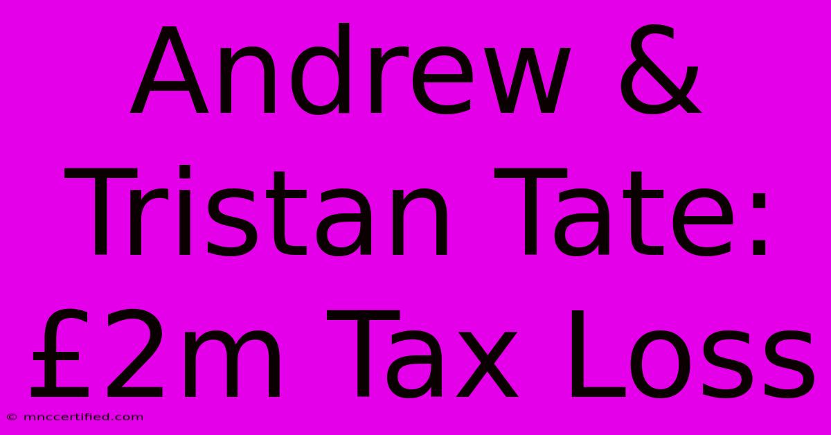 Andrew & Tristan Tate: £2m Tax Loss