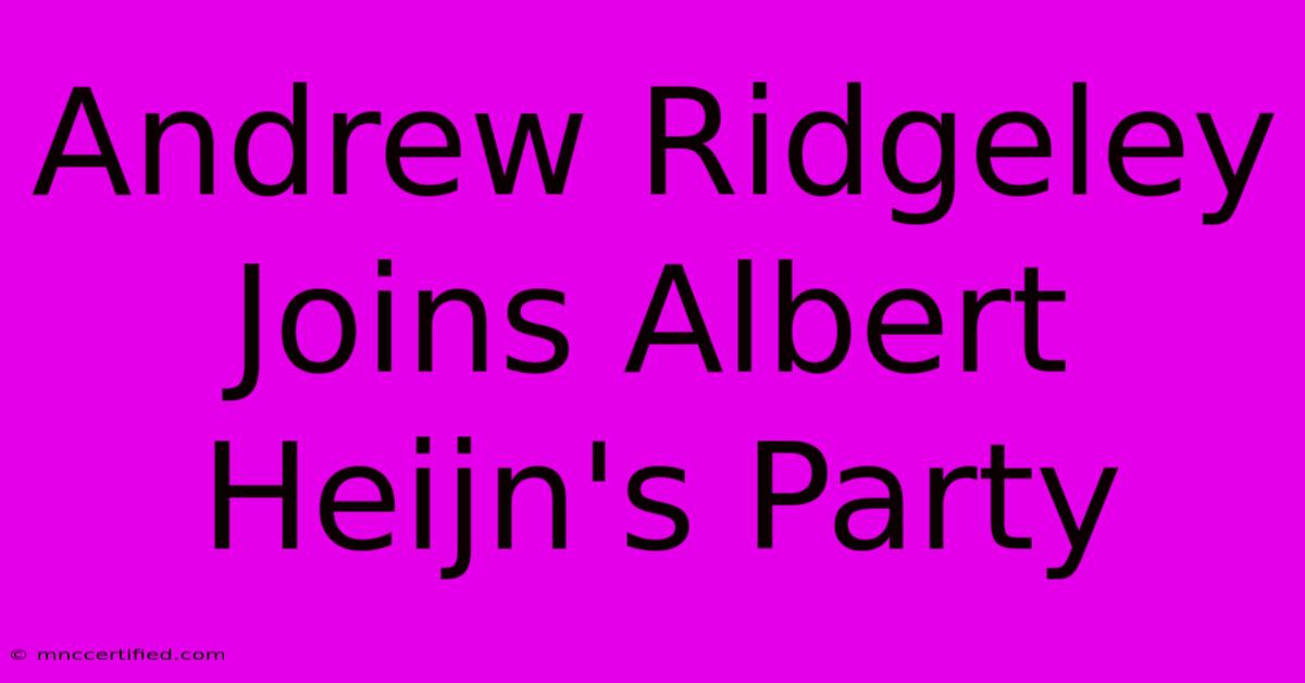 Andrew Ridgeley Joins Albert Heijn's Party