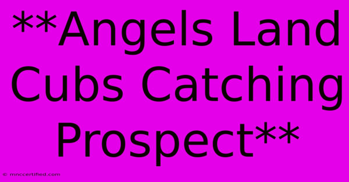 **Angels Land Cubs Catching Prospect**