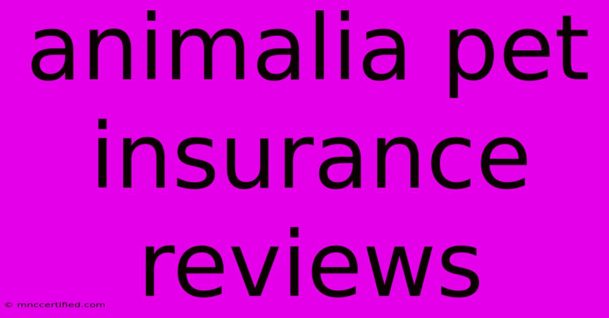 Animalia Pet Insurance Reviews