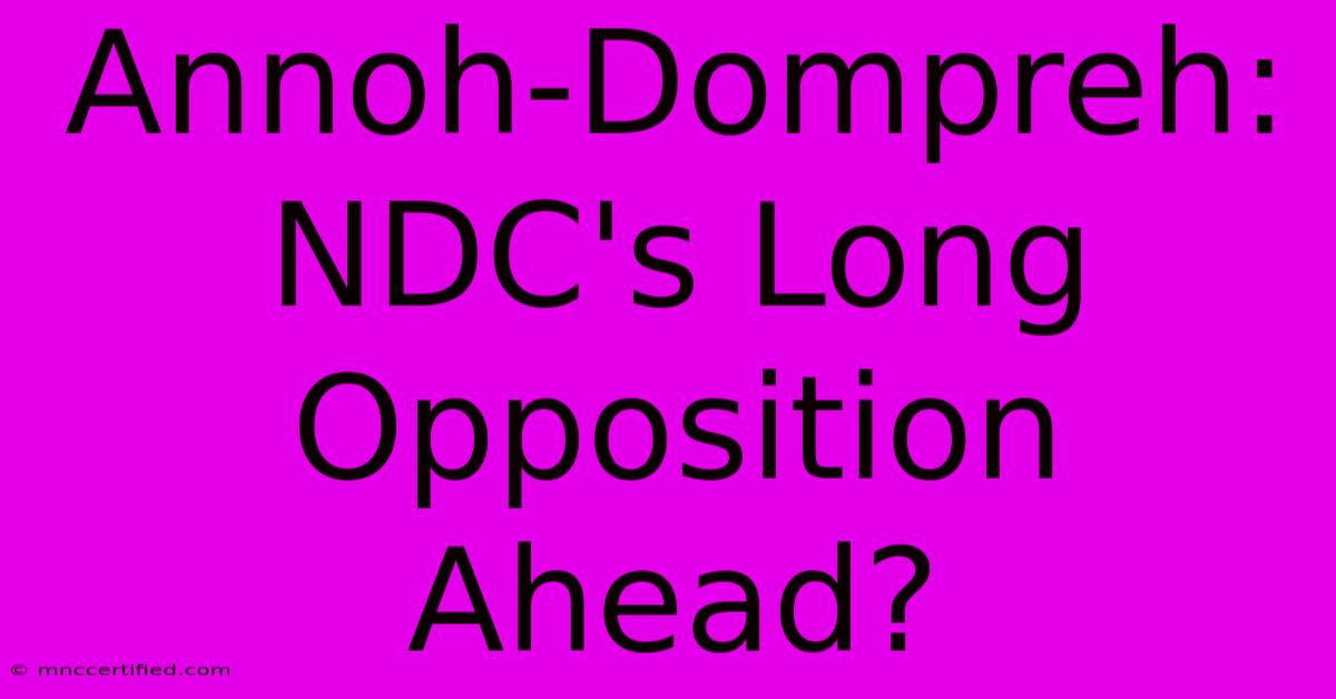 Annoh-Dompreh: NDC's Long Opposition Ahead?