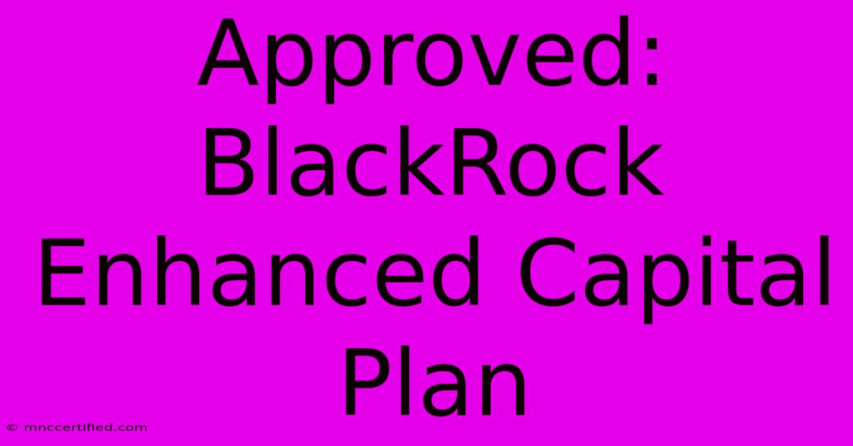 Approved: BlackRock Enhanced Capital Plan