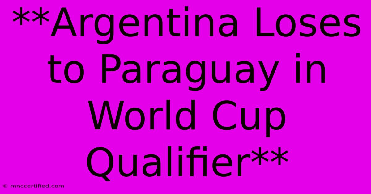 **Argentina Loses To Paraguay In World Cup Qualifier**