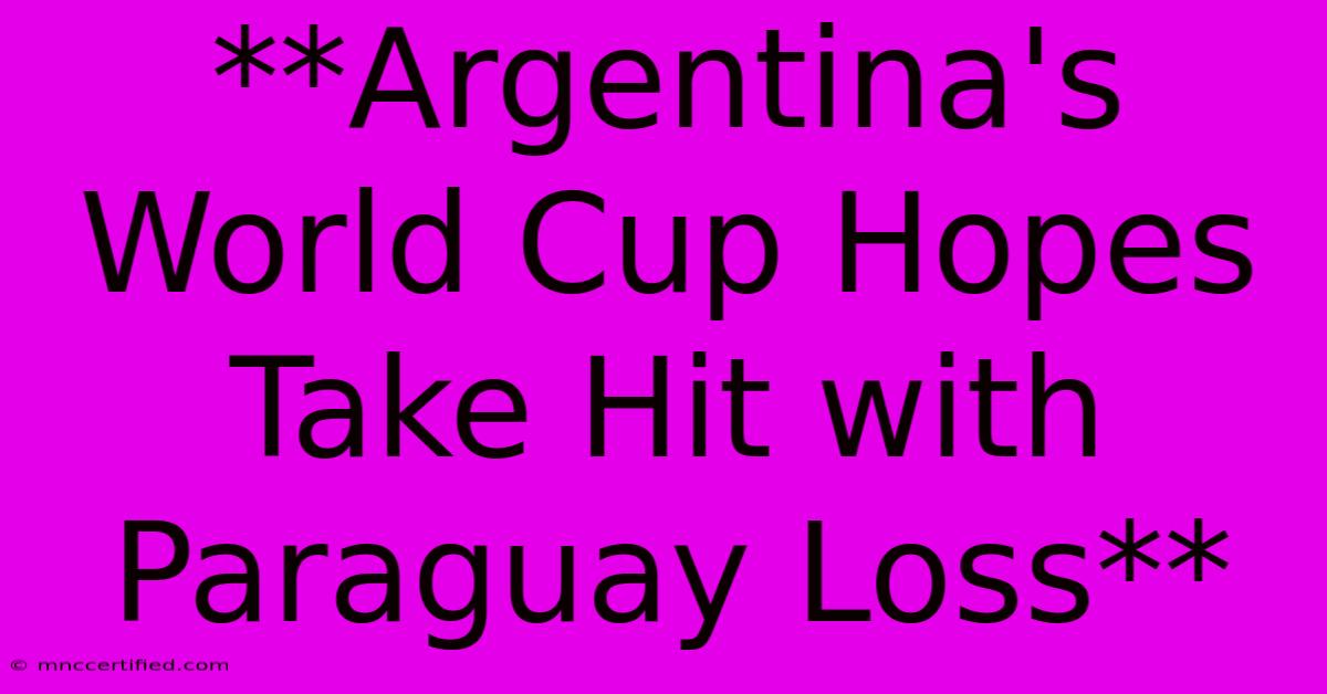 **Argentina's World Cup Hopes Take Hit With Paraguay Loss** 