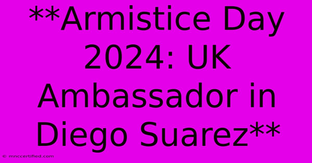 **Armistice Day 2024: UK Ambassador In Diego Suarez**