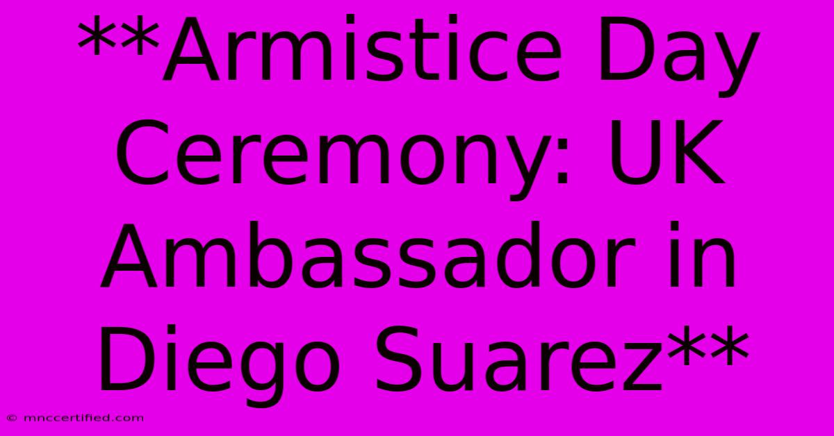 **Armistice Day Ceremony: UK Ambassador In Diego Suarez** 