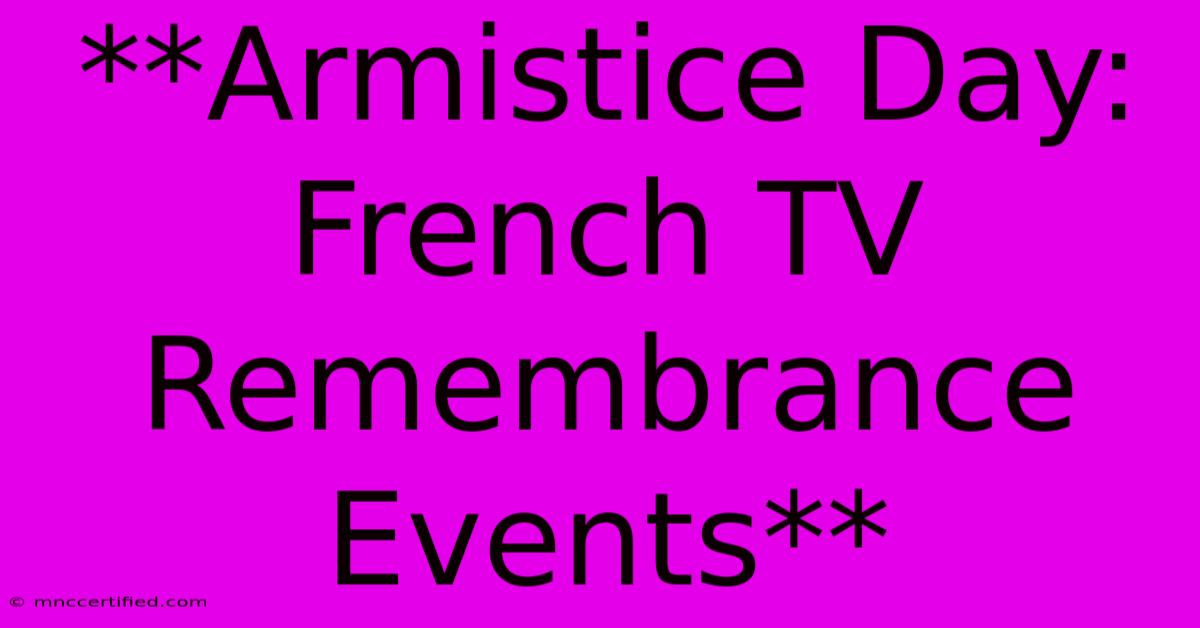 **Armistice Day: French TV Remembrance Events**