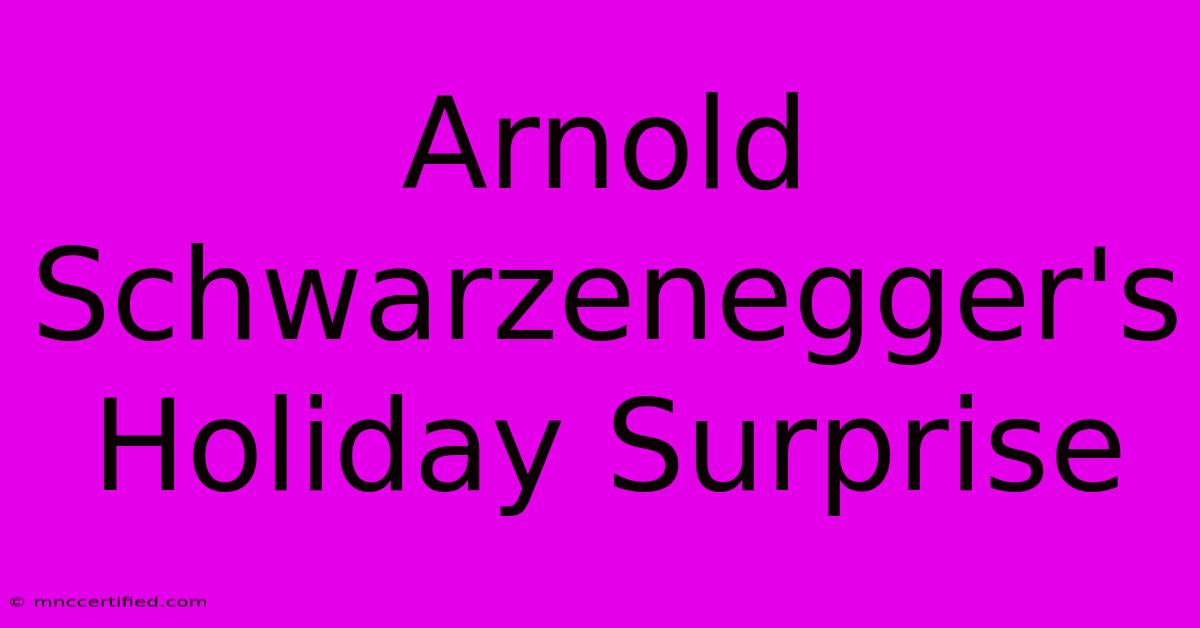 Arnold Schwarzenegger's Holiday Surprise