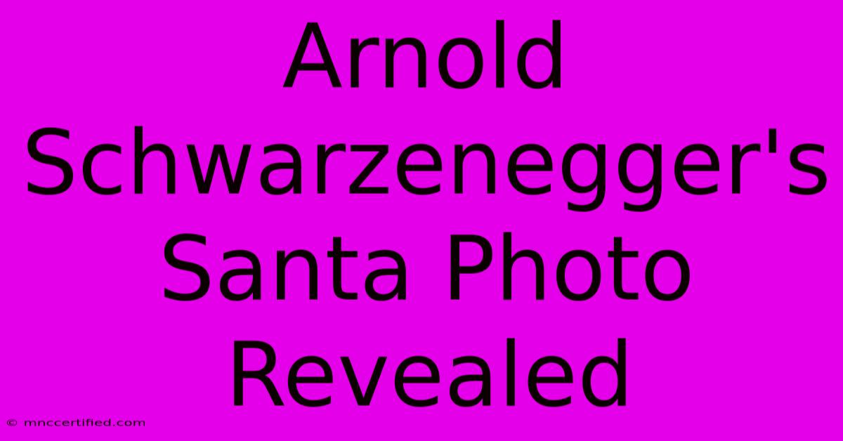 Arnold Schwarzenegger's Santa Photo Revealed