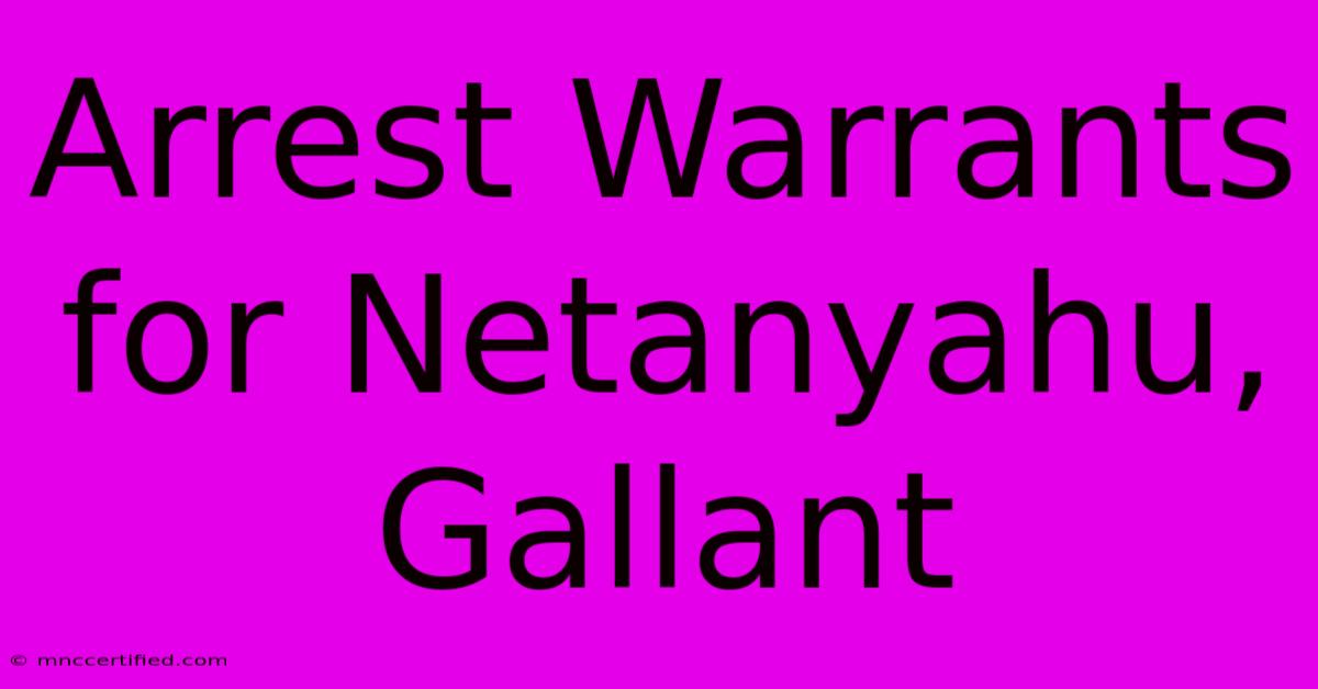 Arrest Warrants For Netanyahu, Gallant