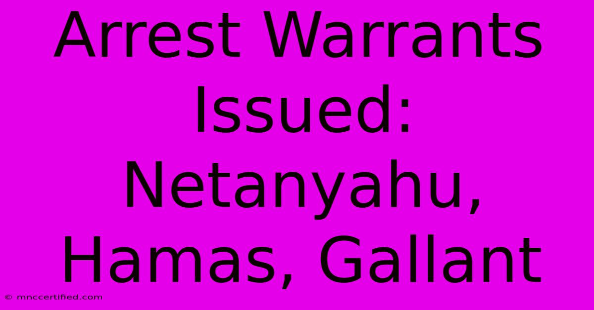 Arrest Warrants Issued: Netanyahu, Hamas, Gallant