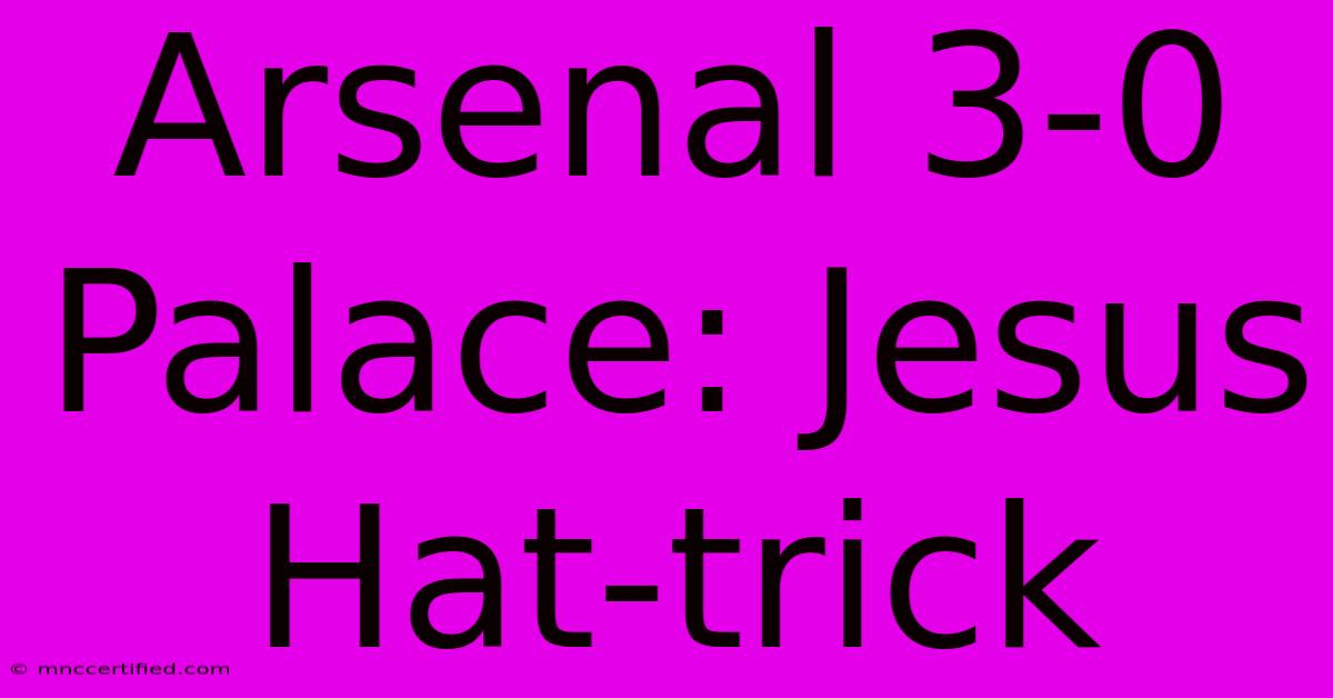 Arsenal 3-0 Palace: Jesus Hat-trick