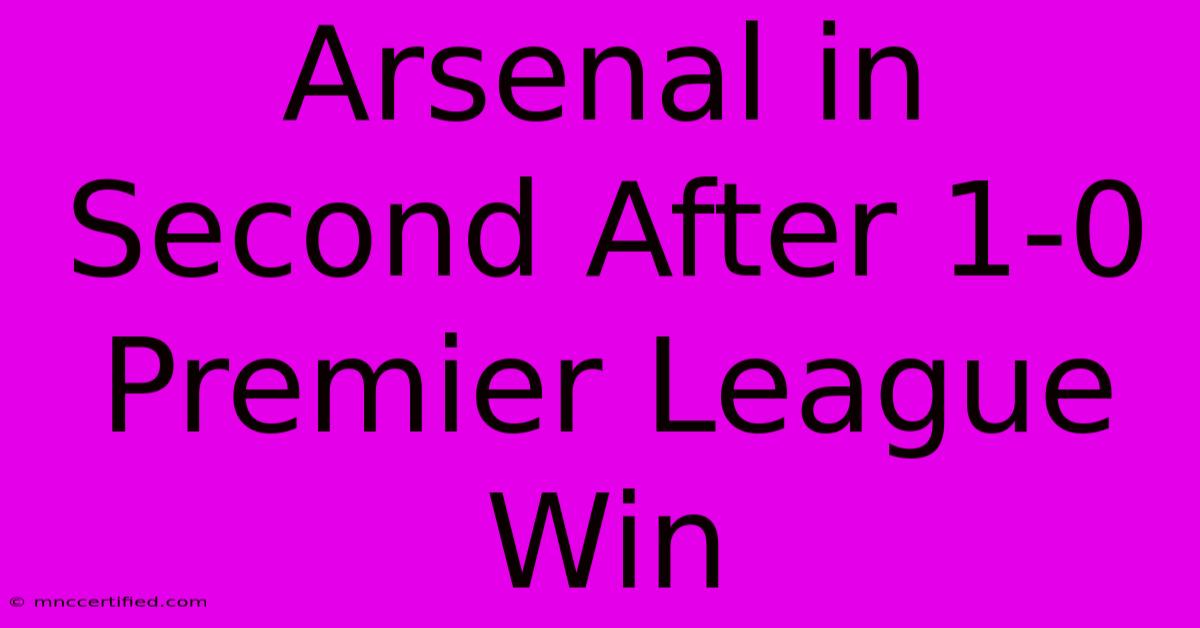 Arsenal In Second After 1-0 Premier League Win