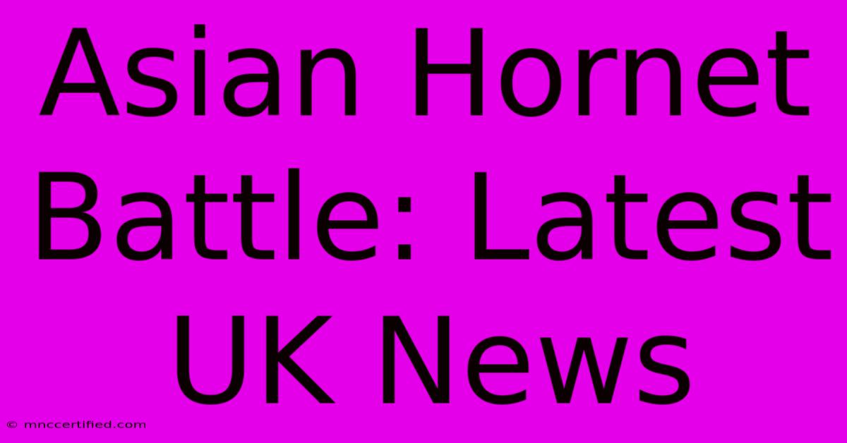 Asian Hornet Battle: Latest UK News