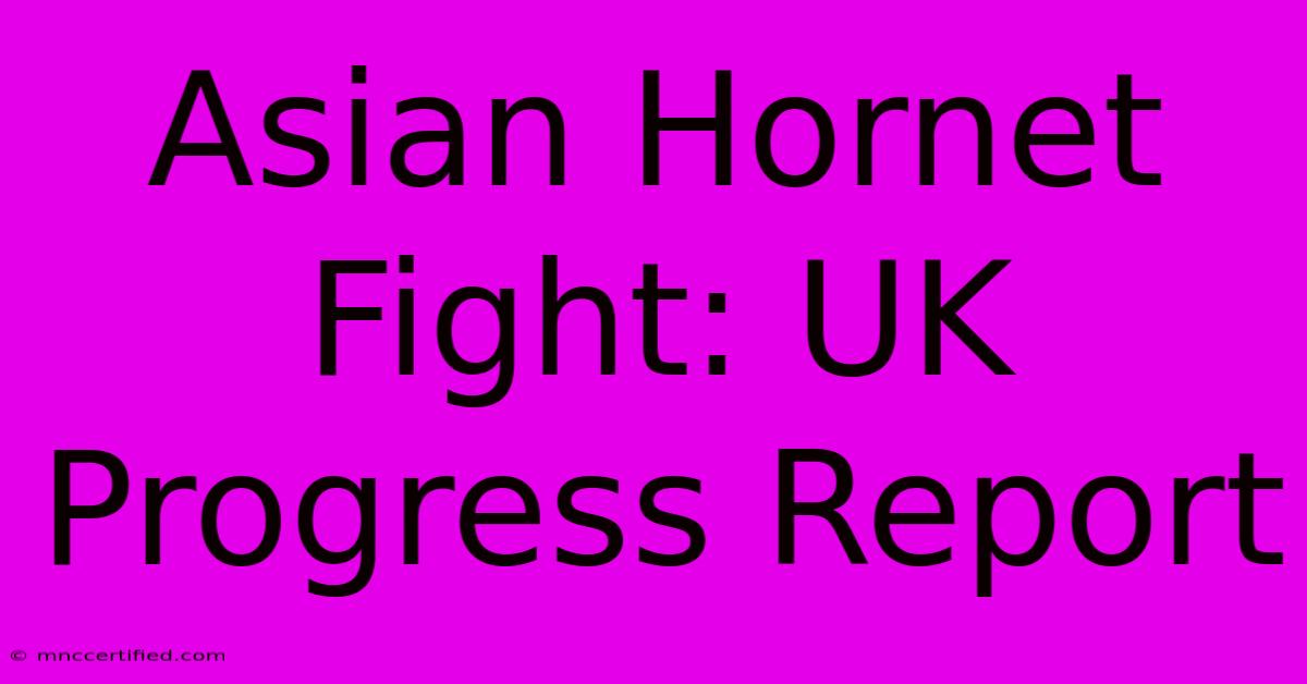 Asian Hornet Fight: UK Progress Report