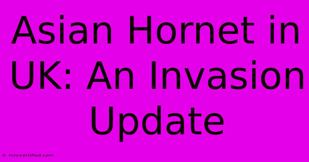 Asian Hornet In UK: An Invasion Update